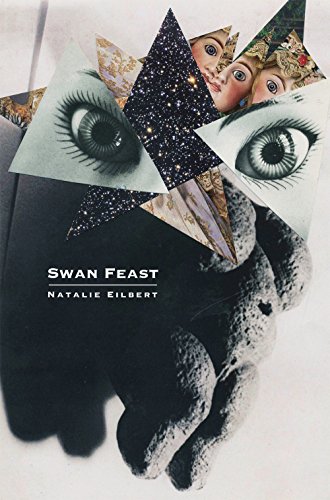 cover image Swan Feast