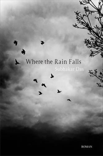 cover image When the Rain Falls