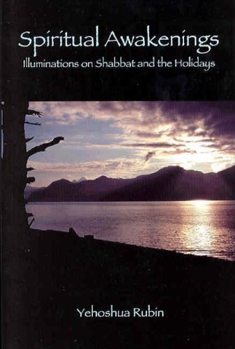 cover image SPIRITUAL AWAKENINGS: Illuminations on Shabbat and the Holidays