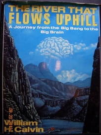 The River That Flows Uphill: A Journey from the Big Bang to the Big Brain