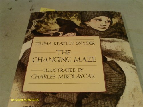 cover image The Changing Maze