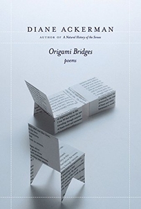 ORIGAMI BRIDGES: Poems of Psychoanalysis and Fire