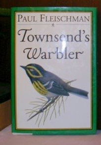 Townsend's Warbler