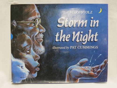cover image Storm in the Night