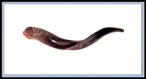 cover image Sound the Shofar!: A Story for Rosh Hashanah and Yom Kippur