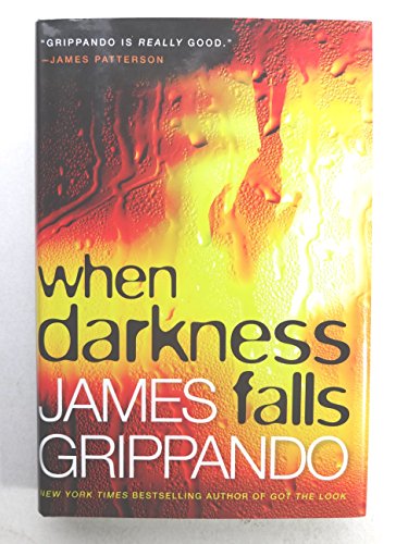 cover image When Darkness Falls