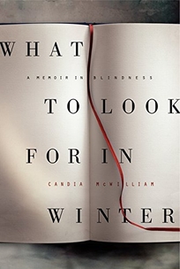 What to Look for in Winter: A Memoir in Blindness