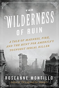 The Wilderness of Ruin: A Tale of Madness