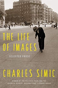 The Life of Images: Selected Prose