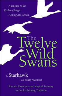 The Twelve Wild Swans: A Journey to the Realm of Magic