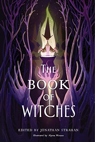cover image The Book of Witches