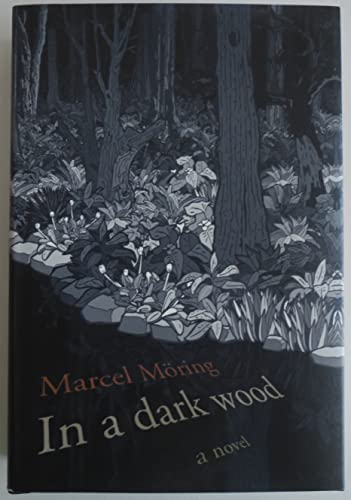 cover image In a Dark Wood