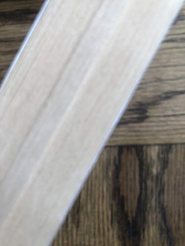 cover image A Girl Named Disaster