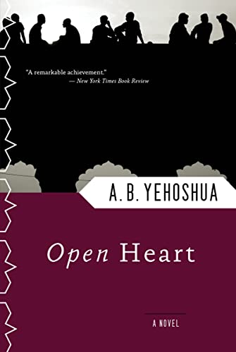 cover image Open Heart