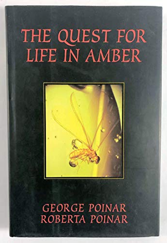 cover image The Quest for Life in Amber
