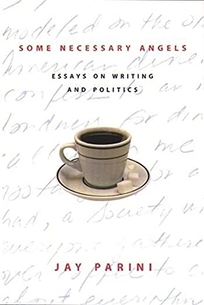 Some Necessary Angels: Essays on Writing and Politics