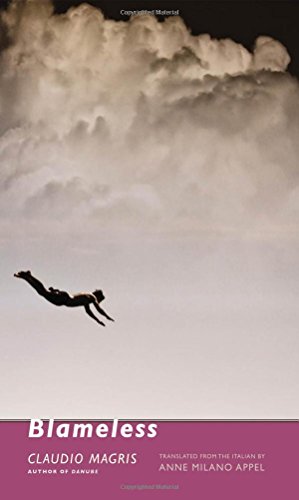 cover image Blameless