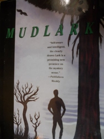 Mudlark: A Mystery