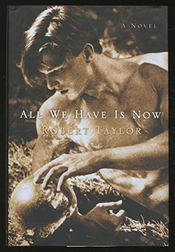 cover image ALL WE HAVE IS NOW