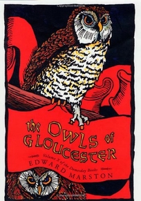 The Owls of Gloucester: Volume V of the Domesday Books