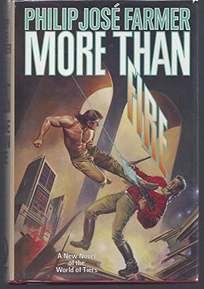More Than Fire: A World of Tiers Novel