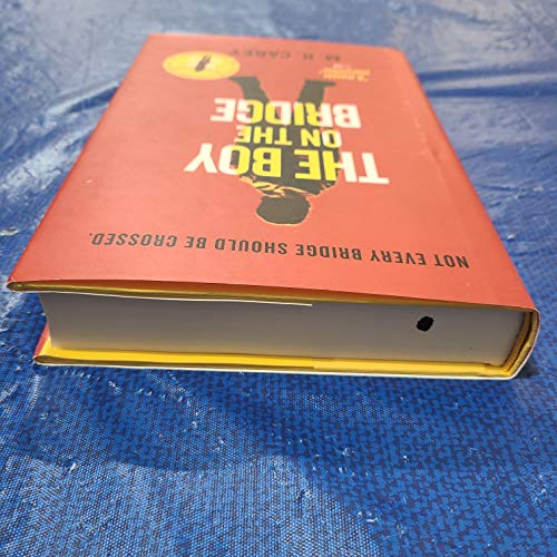 cover image The Boy on the Bridge