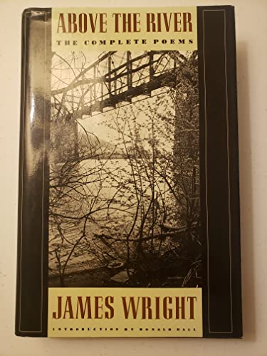 cover image Above the River