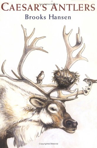 cover image CAESAR'S ANTLERS