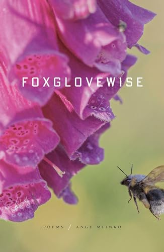 cover image Foxglovewise