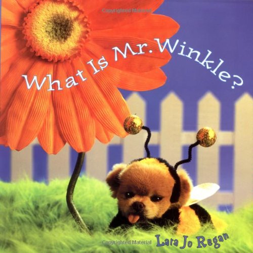 WHAT IS MR. WINKLE? by Lara Jo Regan