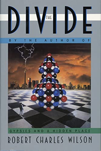 cover image The Divide