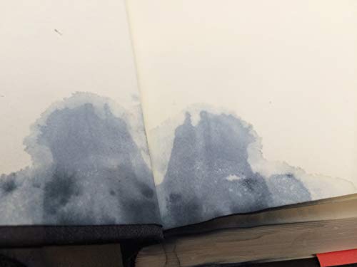 cover image The Giant's House