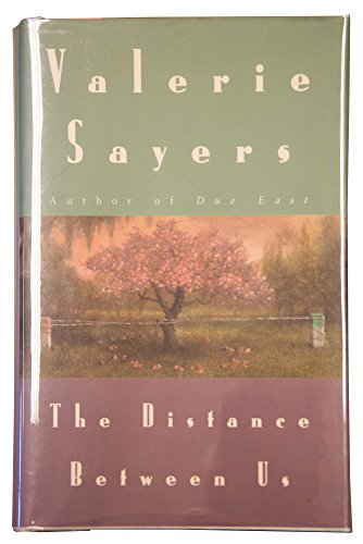 cover image The Distance Between Us