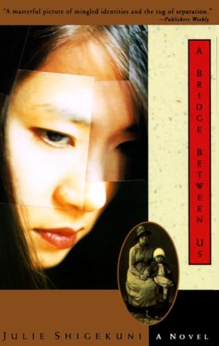 cover image A Bridge Between Us