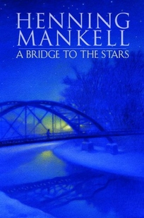 A Bridge to the Stars