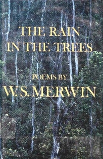 The Rain in the Trees