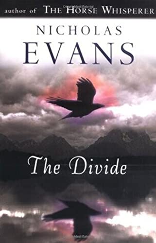 cover image The Divide