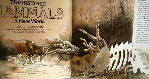 cover image Prehistoric Mammals