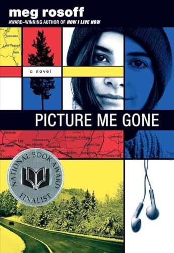 cover image Picture Me Gone