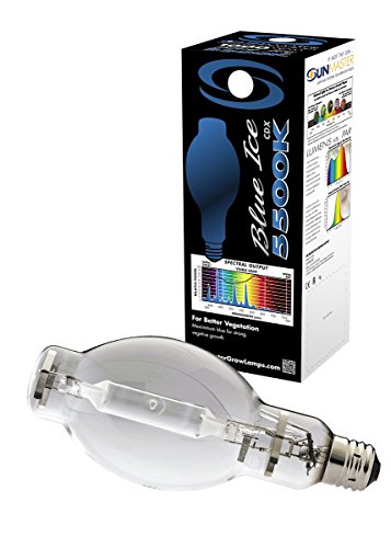 cover image The Lion Tamer's Daughter and Other Stories