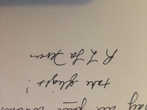 cover image THE FALCONMASTER