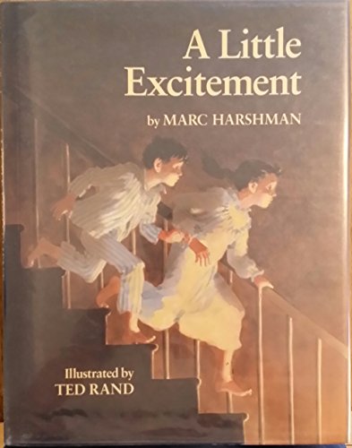 cover image A Little Excitement