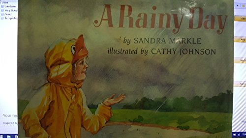 cover image A Rainy Day