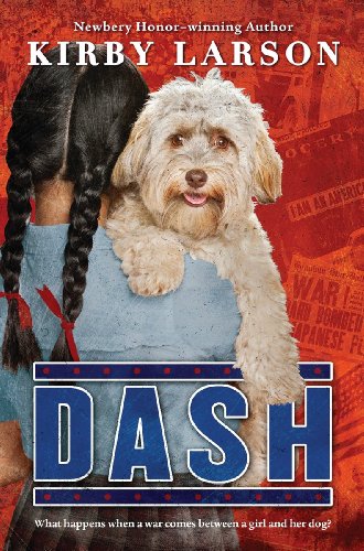 cover image Dash