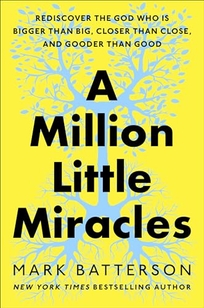 A Million Little Miracles: Rediscover the God Who Is Bigger Than Big