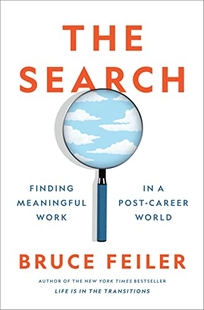 The Search: Finding Meaningful Work in a Post-Career World