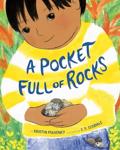 cover image A Pocket Full of Rocks