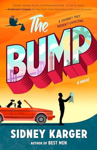 cover image The Bump