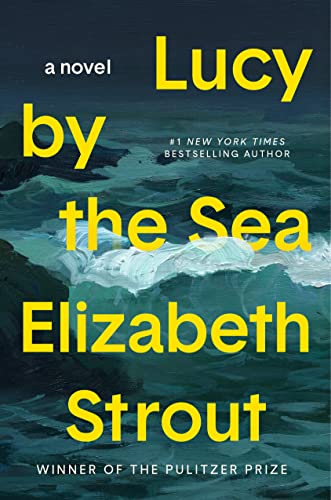 cover image Lucy by the Sea