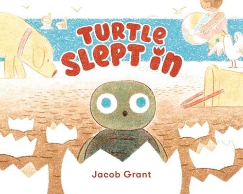 cover image Turtle Slept In